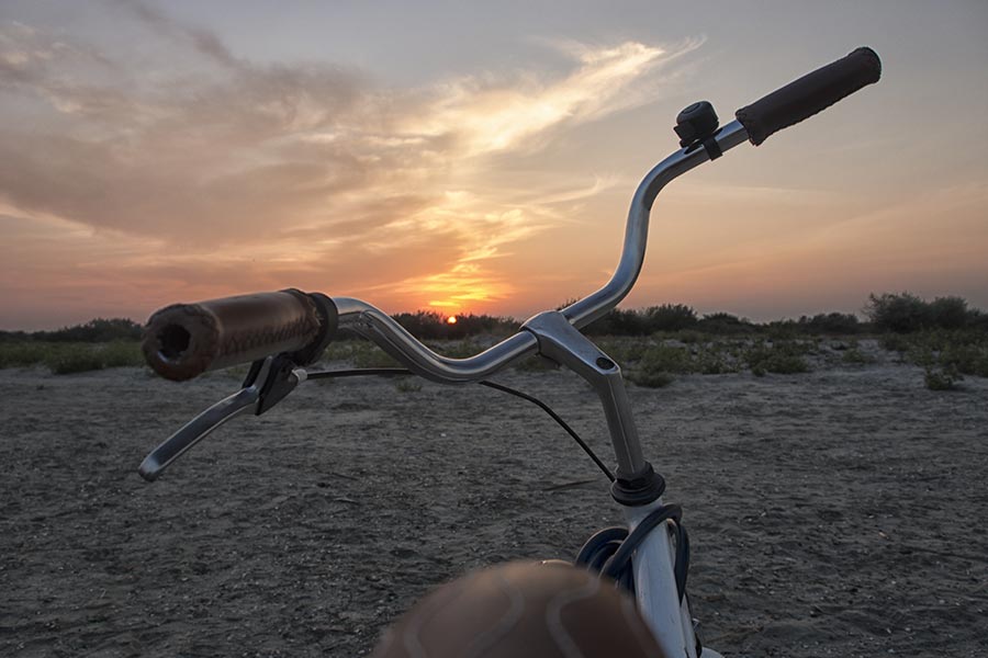 Cu bicicleta in Delta Dunarii