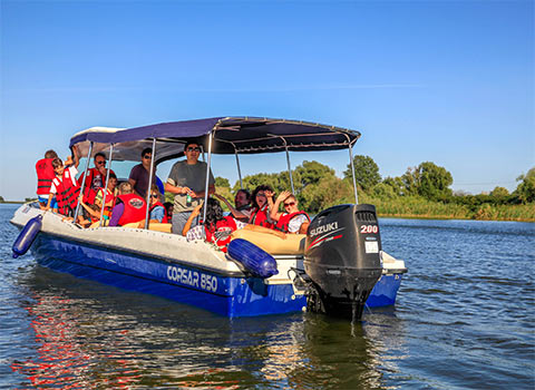 Summertime in the Danube Delta